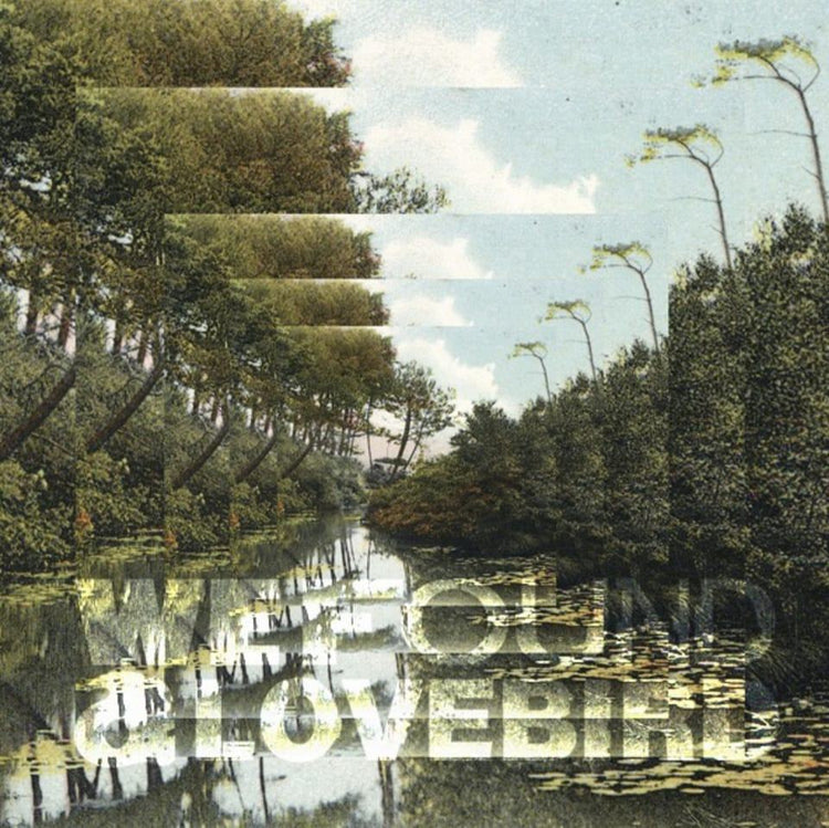 We Found A Lovebird - With Friends Like These LP