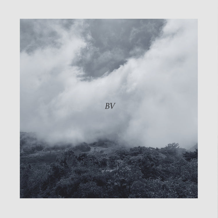 Beautiful Violence - BV Vinyl, LP (clear vinyl) (Limited Edition)