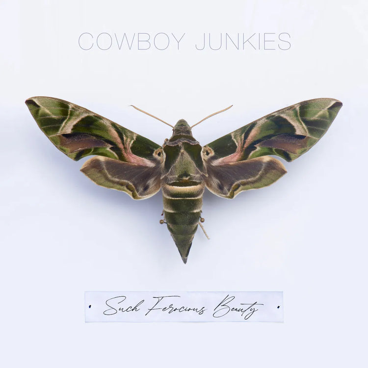 Cowboy Junkies - Such Ferocious Beauty CD