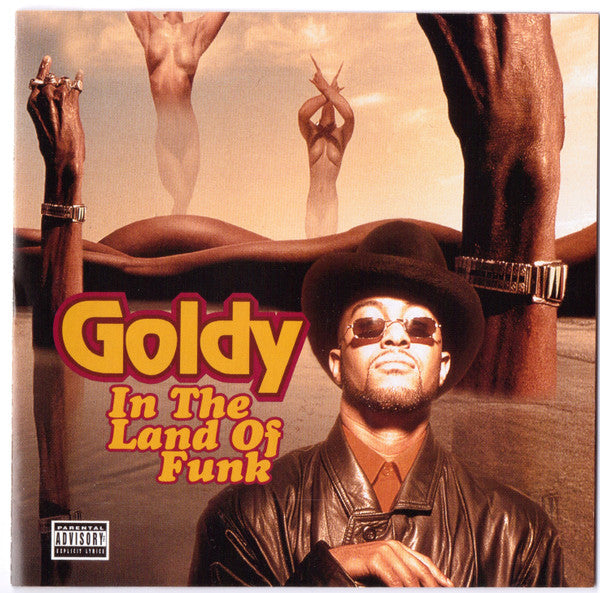 Album art for Goldy - In The Land Of Funk
