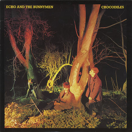 Album art for Echo & The Bunnymen - Crocodiles