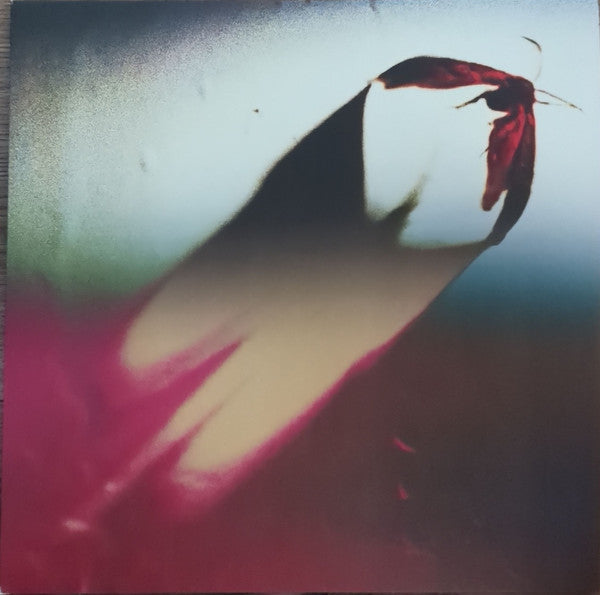 Album art for Scowl - Are We All Angels