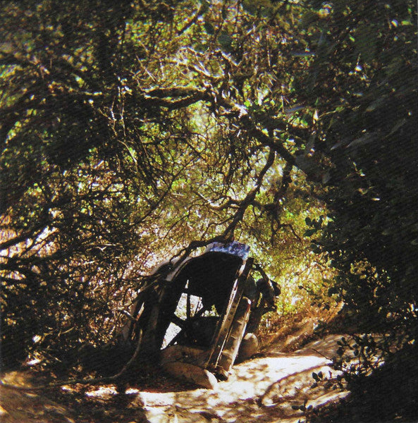 Album art for Ty Segall - Possession