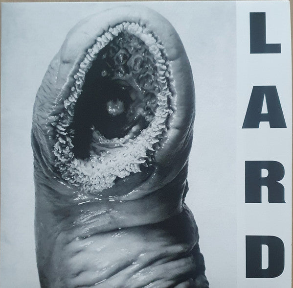 Album art for Lard - Power Of Lard EP
