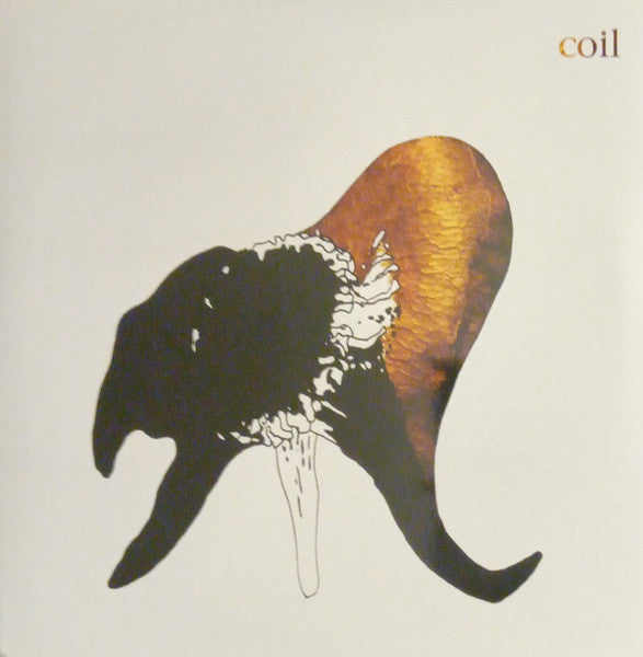 Album art for Coil - Black Antlers