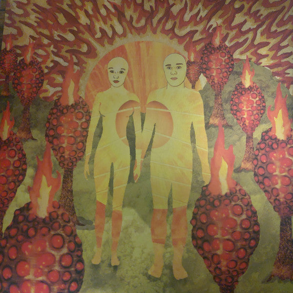Album art for Of Montreal - The Sunlandic Twins
