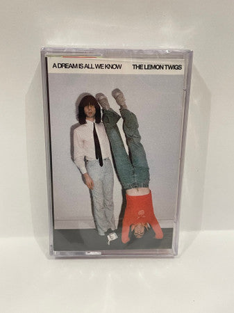 The Lemon Twigs - A Dream Is All We Know. The Lemon Twigs.