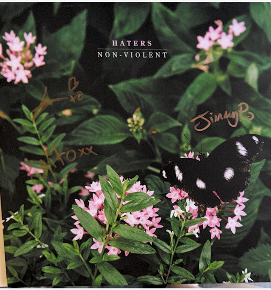 Album art for Haters - Non-Violent