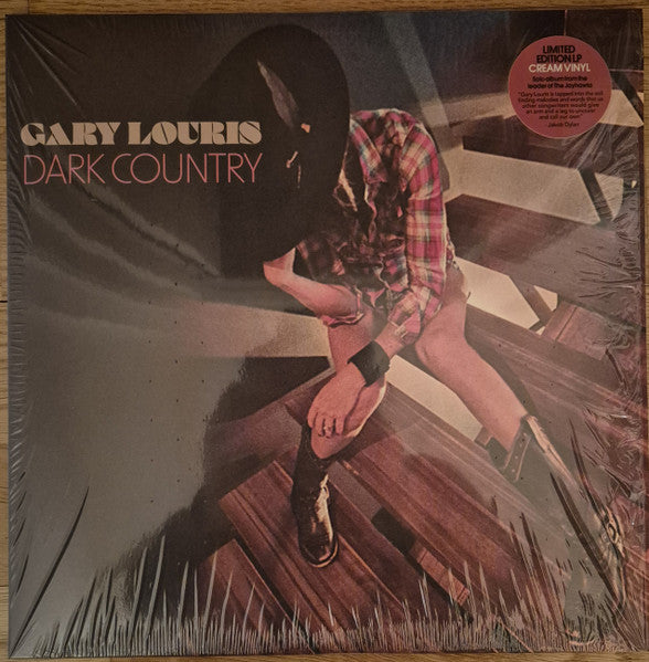 Album art for Gary Louris - Dark Country