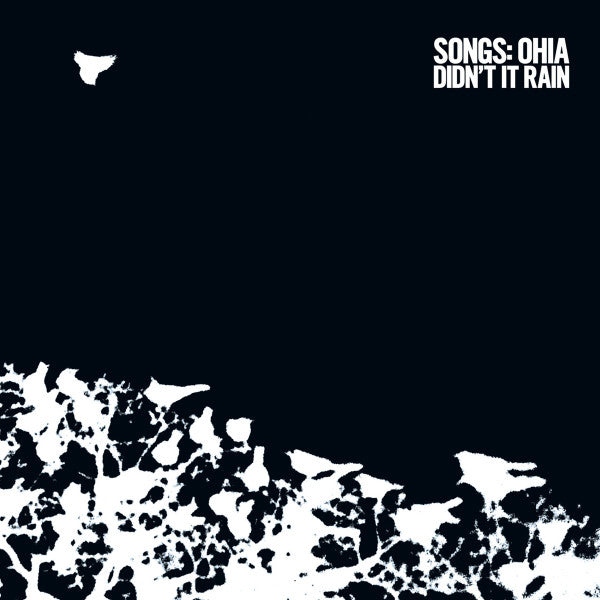 Album art for Songs: Ohia - Didn't It Rain