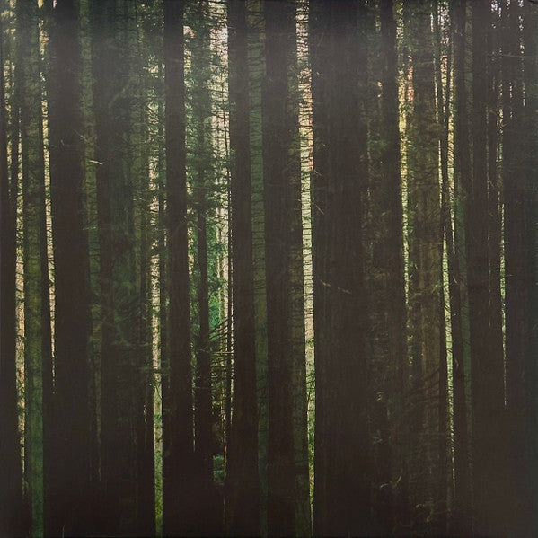 Album art for The Paper Kites - Evergreen