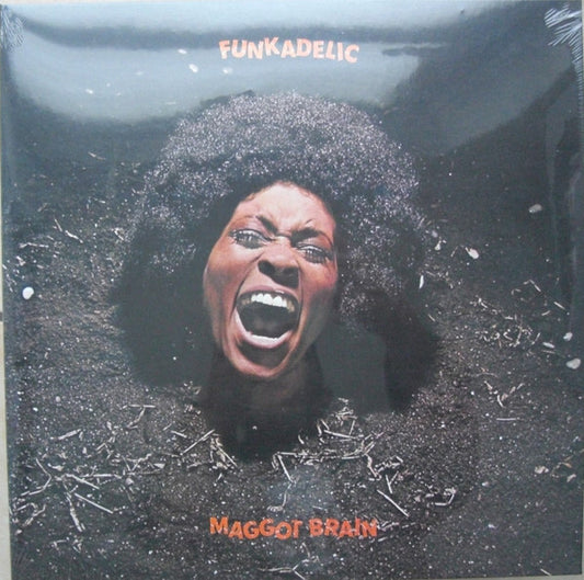 Album art for Funkadelic - Maggot Brain