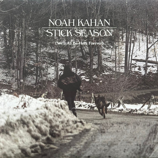 Album art for Noah Kahan - Stick Season (We’ll All Be Here Forever)