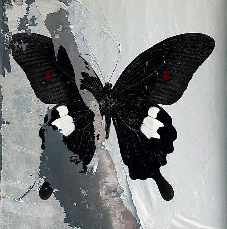 Album art for Death Cult - Paradise Now