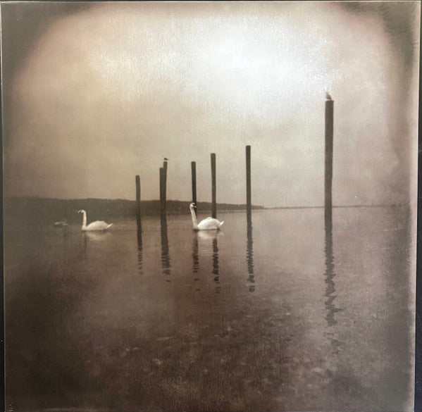 Album art for OM - Conference Of The Birds