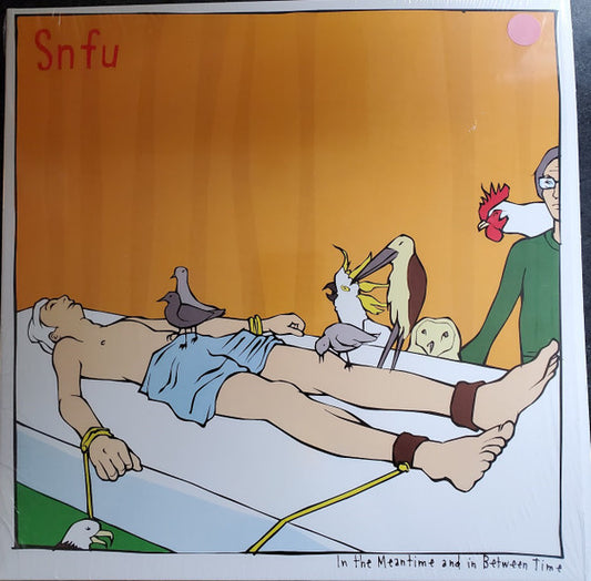 Album art for SNFU - In The Meantime And In Between Time 