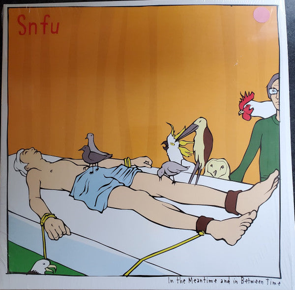Album art for SNFU - In The Meantime And In Between Time