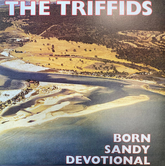 Album art for The Triffids - Born Sandy Devotional