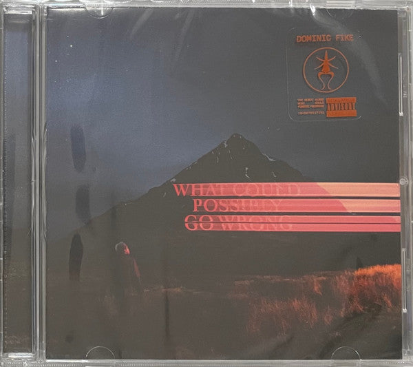 Dominic Fike - What Could Possibly Go Wrong