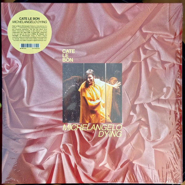 Album art for Cate Le Bon - Michelangelo Dying