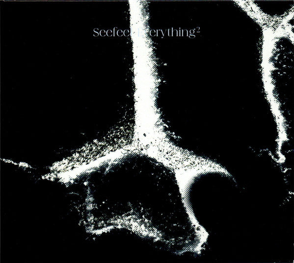 Album art for Seefeel - Everything Squared
