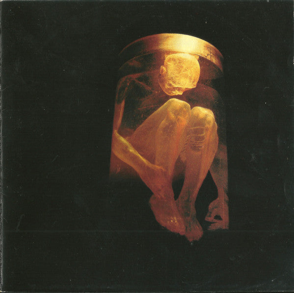 Album art for Alice In Chains - Nothing Safe: The Best Of The Box