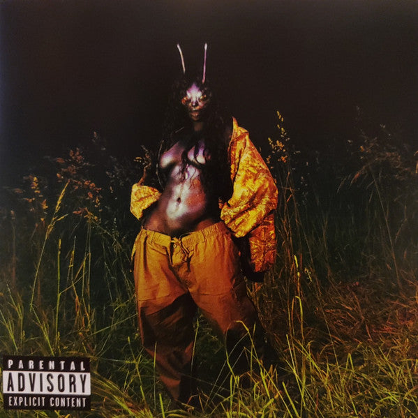 Album art for SZA - SOS Deluxe: Lana