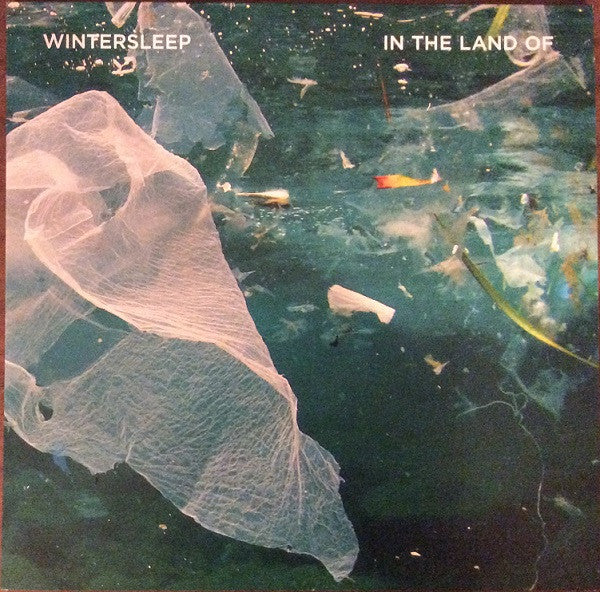Album art for Wintersleep - In The Land Of