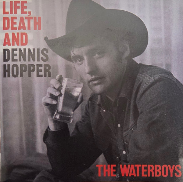 Album art for The Waterboys - Life, Death And Dennis Hopper