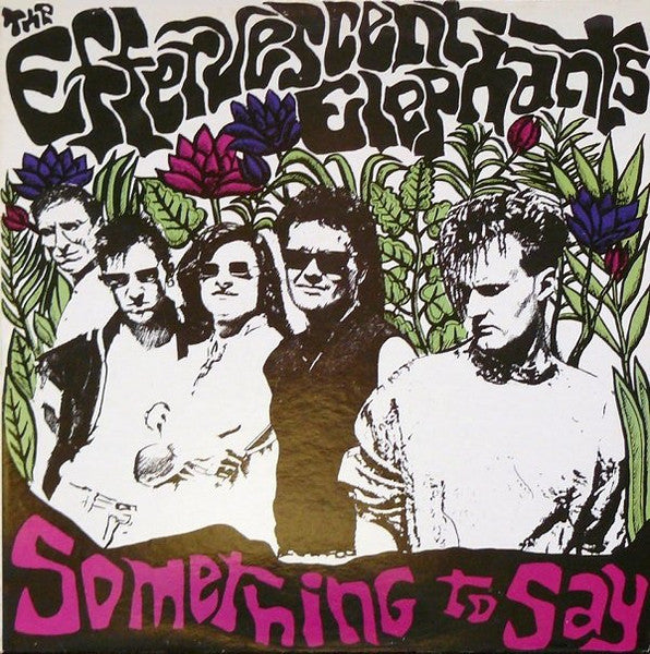 Album art for The Effervescent Elephants - Something To Say