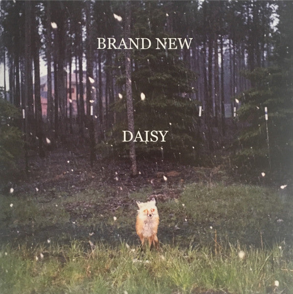 Album art for Brand New - Daisy