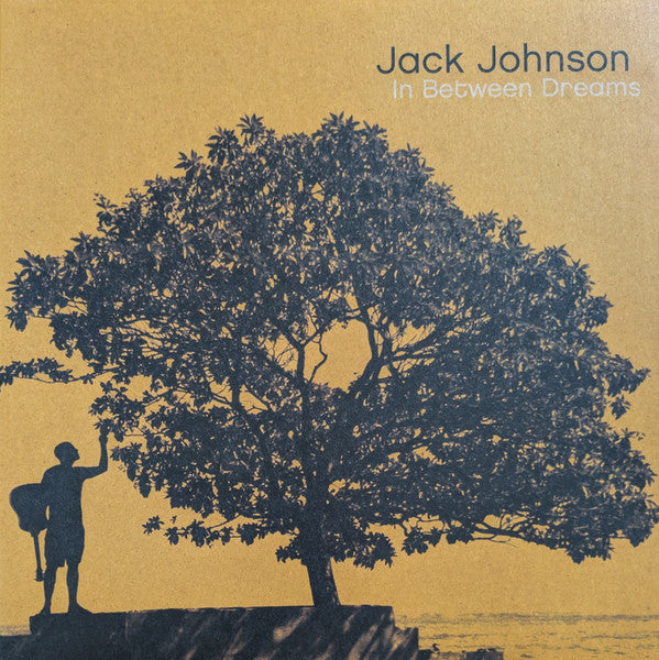 Album art for Jack Johnson - In Between Dreams