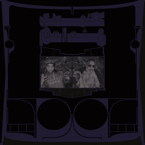 Album art for Shabazz Palaces - Exotic Birds of Prey