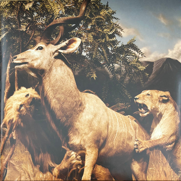 Album art for Interpol - Our Love To Admire