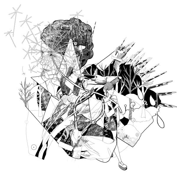 Album art for Jesca Hoop - Selective Memory