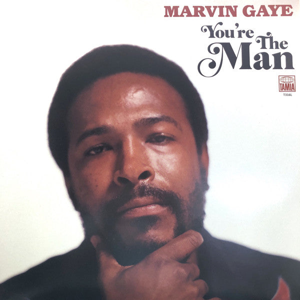 Album art for Marvin Gaye - You're The Man