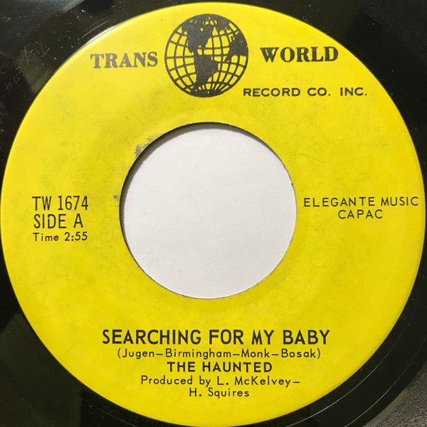 Album art for The Haunted - Searching For My Baby