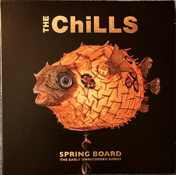 Album art for The Chills - Spring Board (The Early Unrecorded Songs)