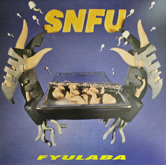 Album art for SNFU - FYULABA