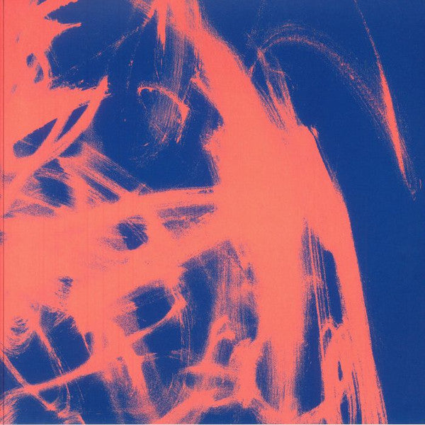 Album art for Rival Consoles - Landscape From Memory