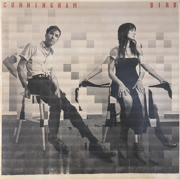 Album art for Andrew Bird - Cunningham Bird