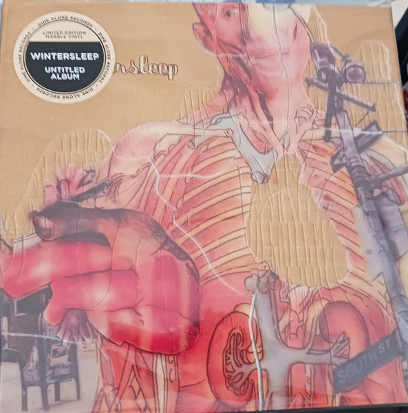 Album art for Wintersleep - Untitled