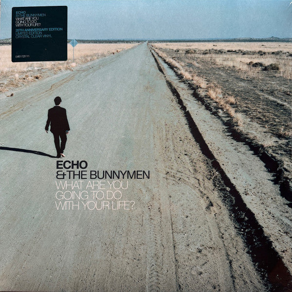 Album art for Echo & The Bunnymen - What Are You Going To Do With Your Life?