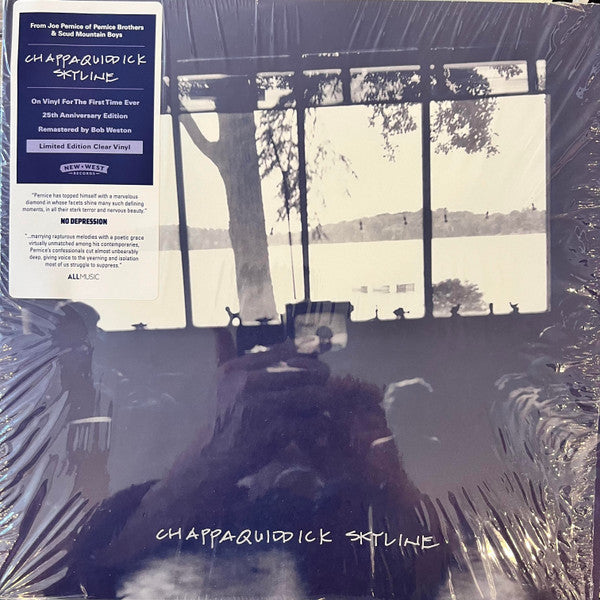 Album art for Chappaquiddick Skyline - Chappaquiddick Skyline