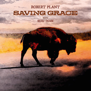 Album art for Robert Plant - Saving Grace