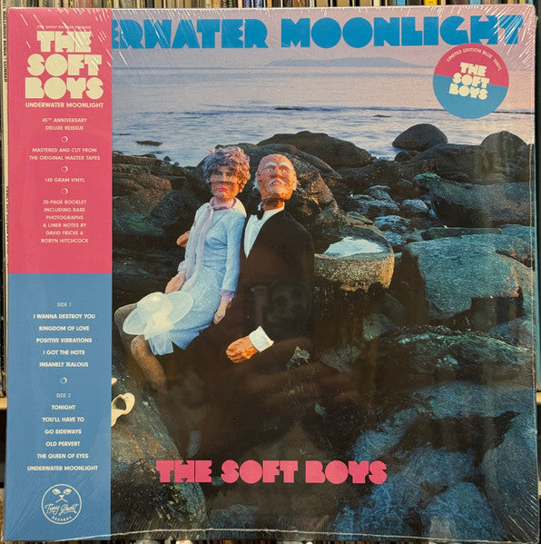 Album art for The Soft Boys - Underwater Moonlight