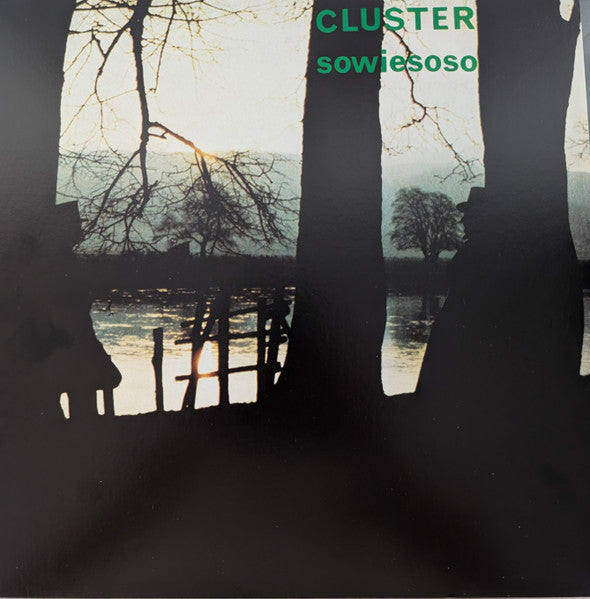 Album art for Cluster - Sowiesoso