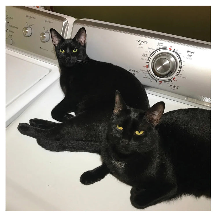 Sam Prekop And John McEntire - Sons Of (Sea Glass Vinyl) LP