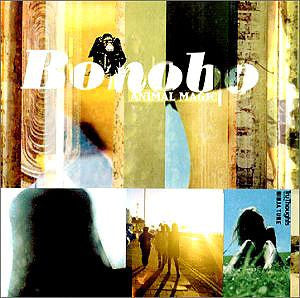 Album art for Bonobo - Animal Magic