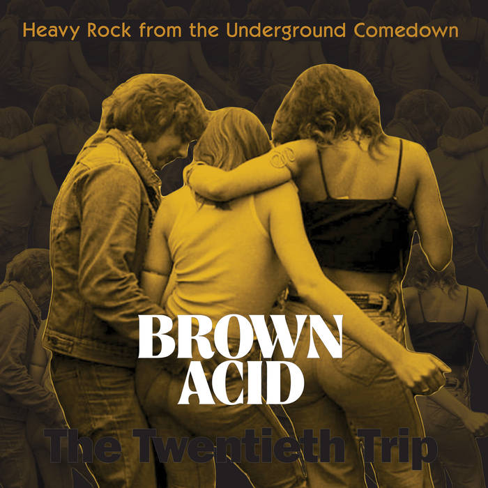 Various - Brown Acid: The Twentieth Trip